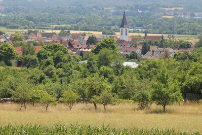 Blick auf Oberhaid und Maintal von Norden